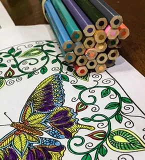 coloring sheet with butterfly and colored pencils