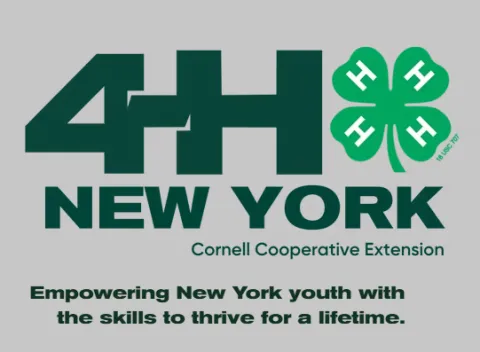 4H logo