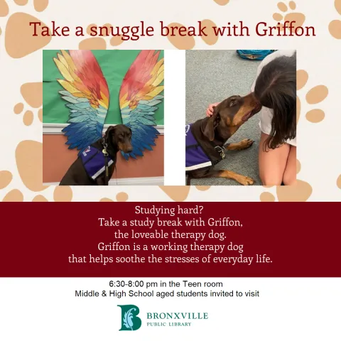 griffon