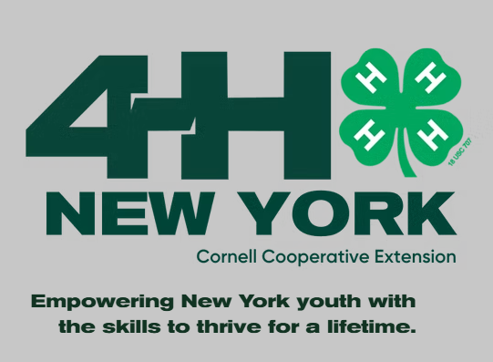 4H logo